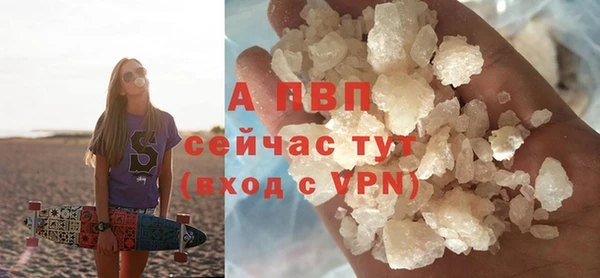 СК Надым