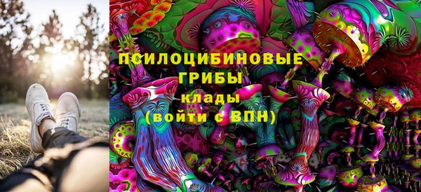 СК Надым