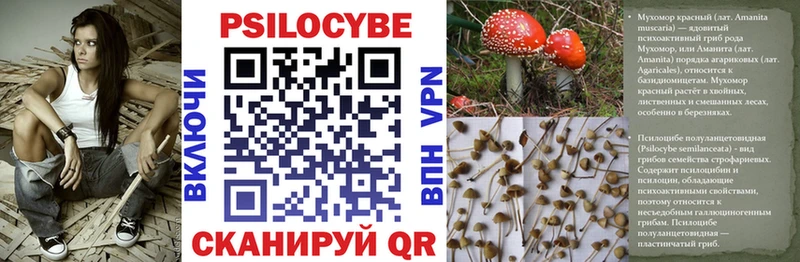 Псилоцибиновые грибы мухоморы  где найти наркотики  Катайск 