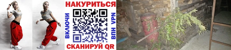 Конопля индика Катайск